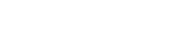 Logo Domaine La Ruisselière Lacenas Beaujolais
